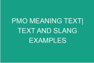 pmo meaning text