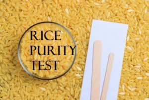 Rice Purity Test Meaning