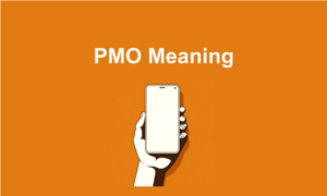 Pmo Meaning Text